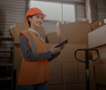 Sectores Especializados